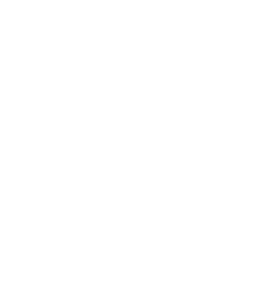 line drawing of Bolivia
