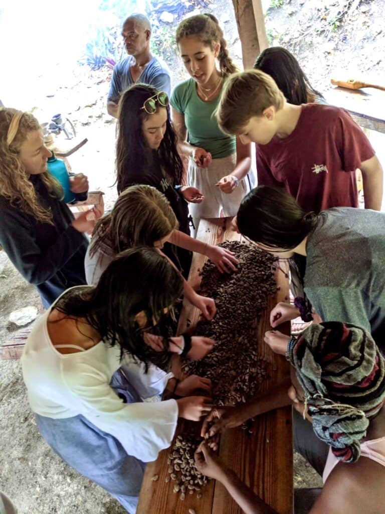 kids picking up seeds on a wooden table