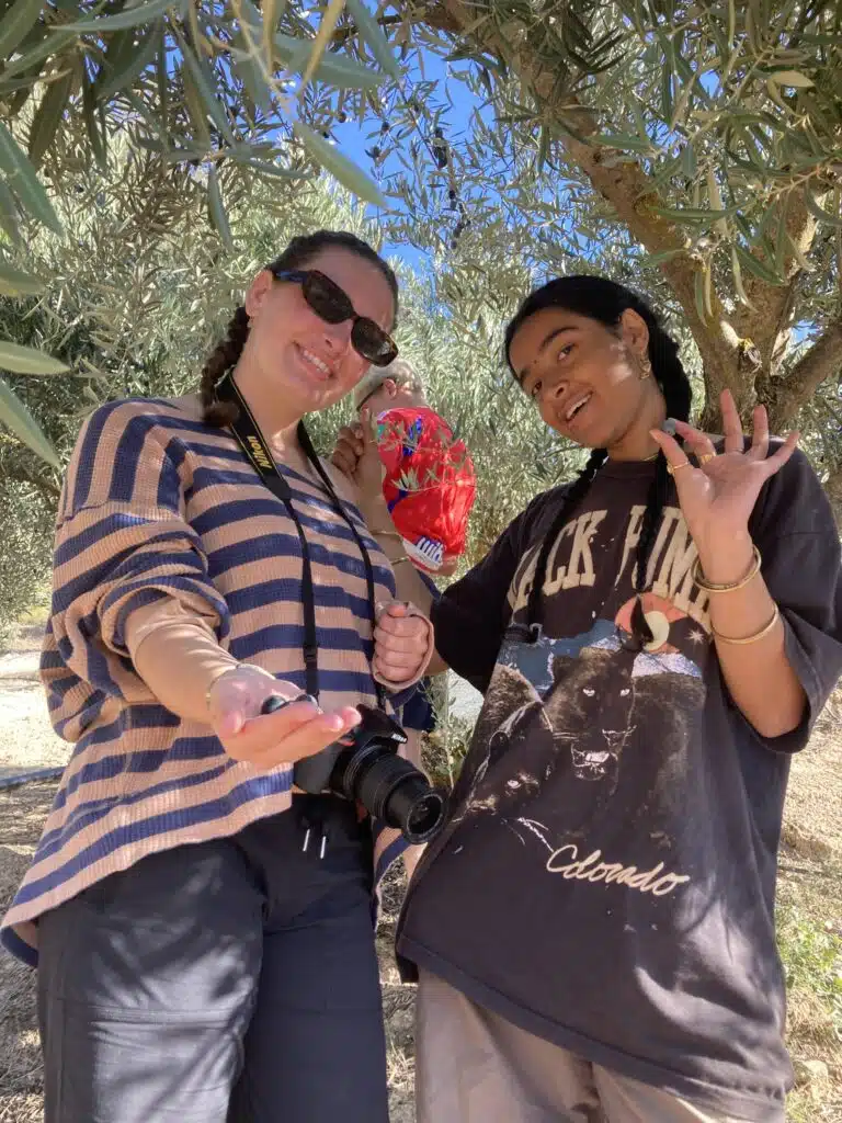 people holding olives they have just picked