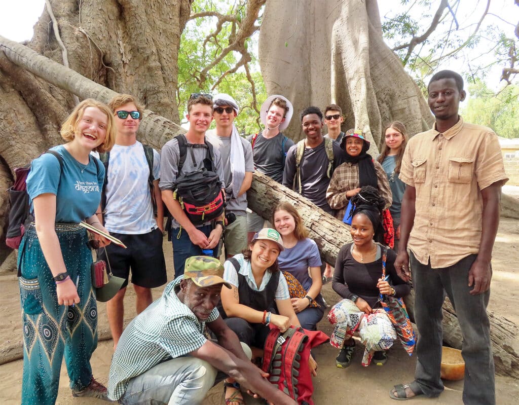 group in front of huge trees in Senegal