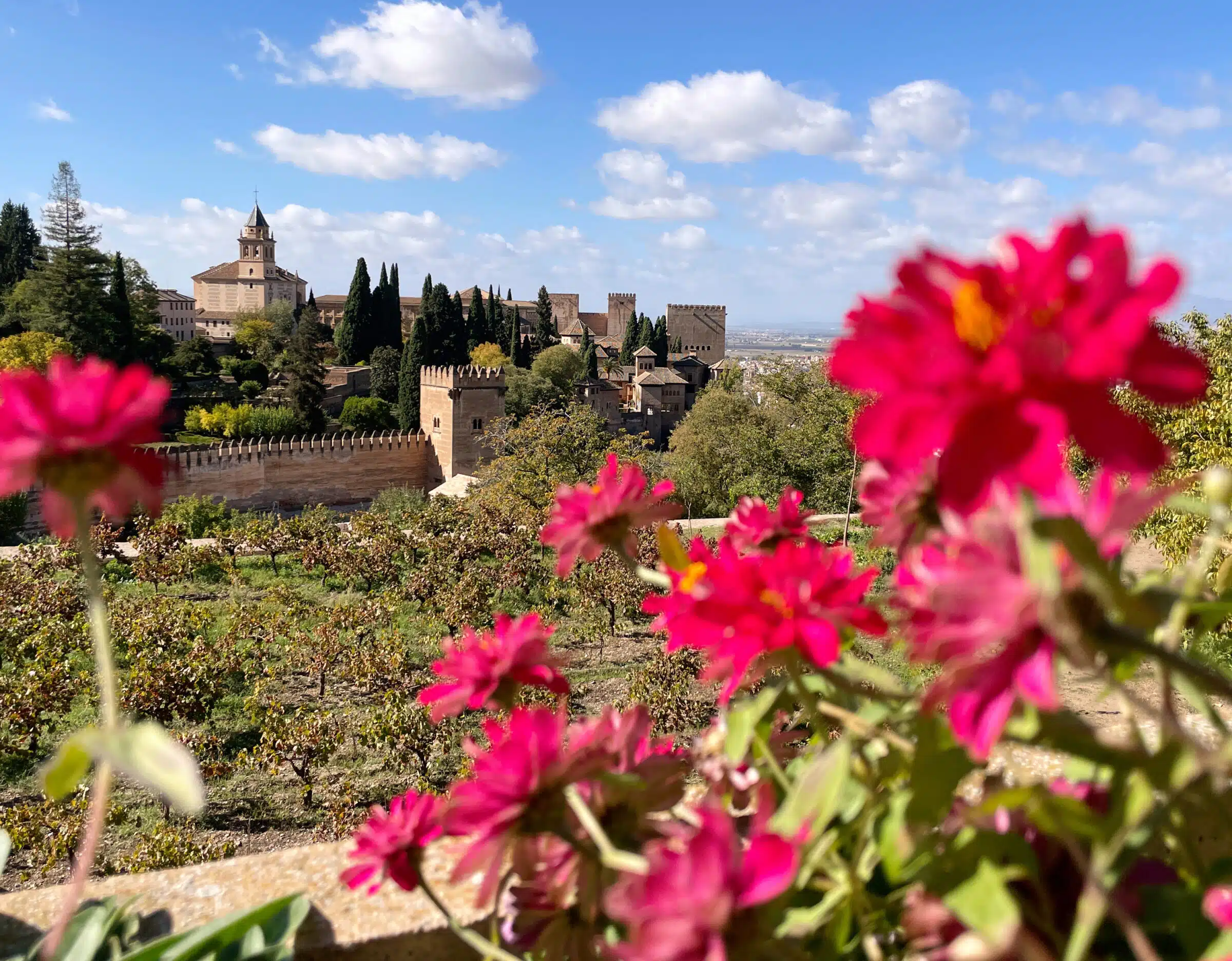 Castle in background with blurred red flowers in foreground