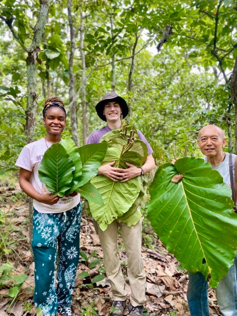 three people holding large green leafs, smiling