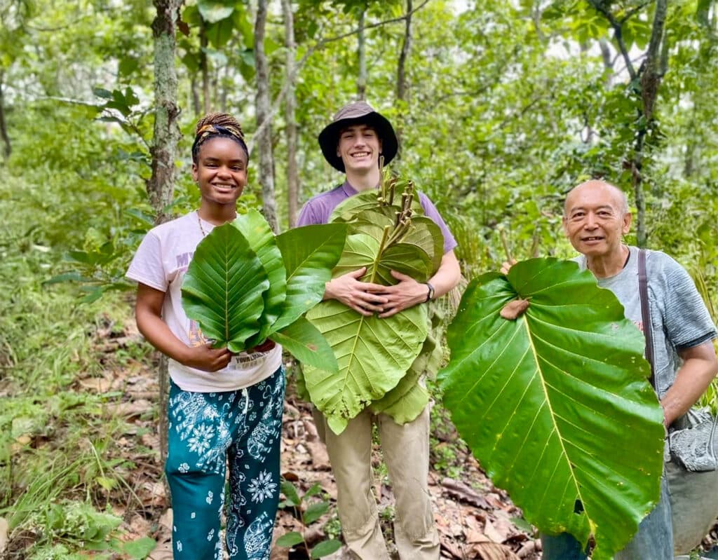 three people holding large green leafs, smiling
