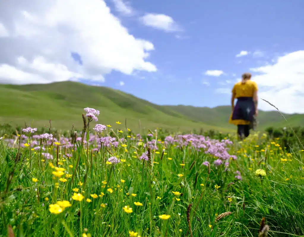 girl walking in mountain flowers