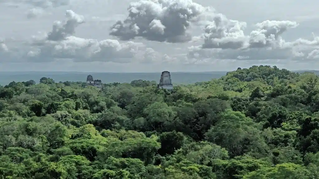 ruins poking through top of lush forest