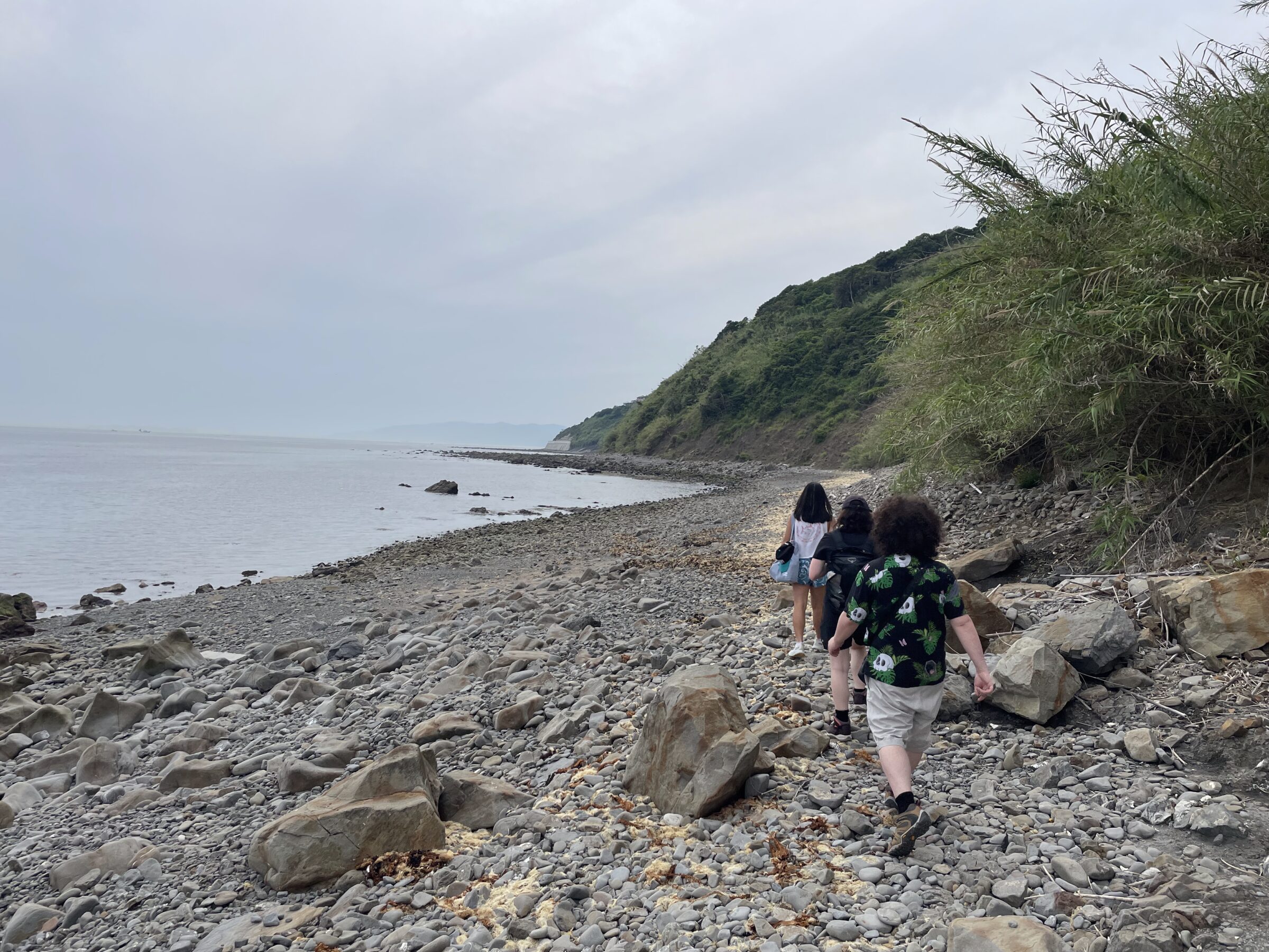 group walking along shore