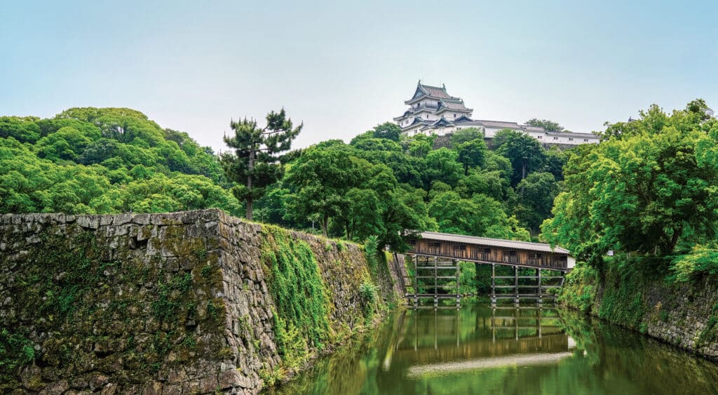 green trees and still river with rock wall and distant building