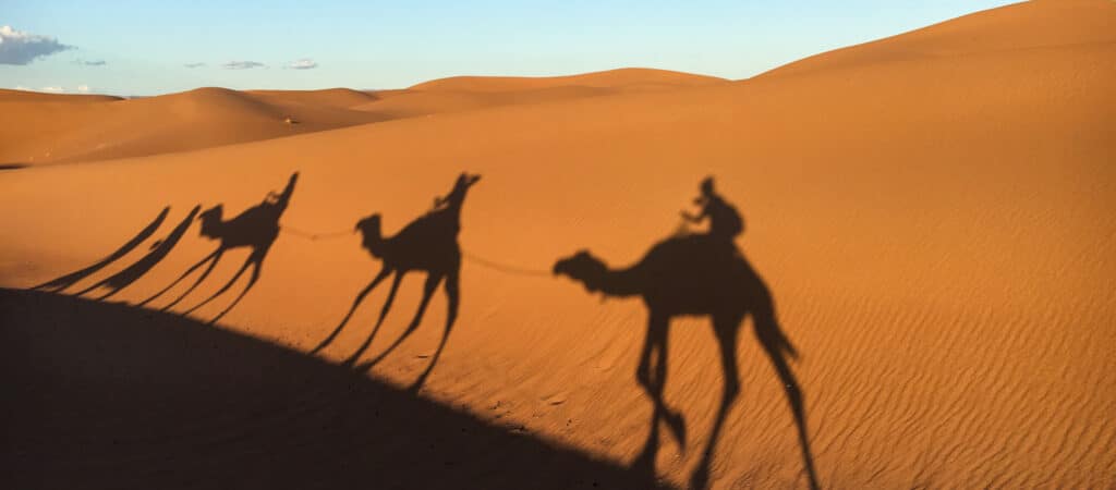 shadows of people riding camels in the desert
