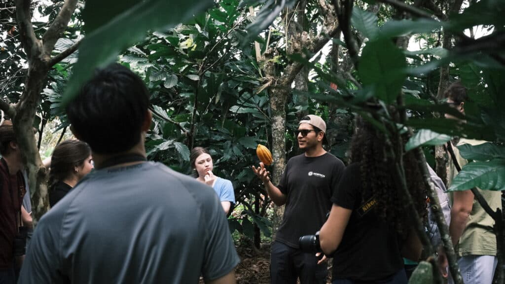 group listening to man holding fruit