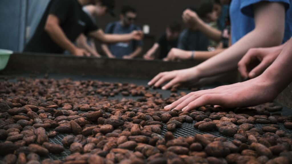 hands sorting food