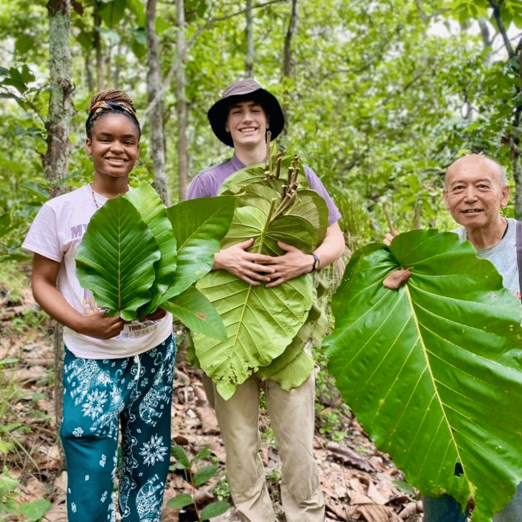 three people holding large green leafs, smiling