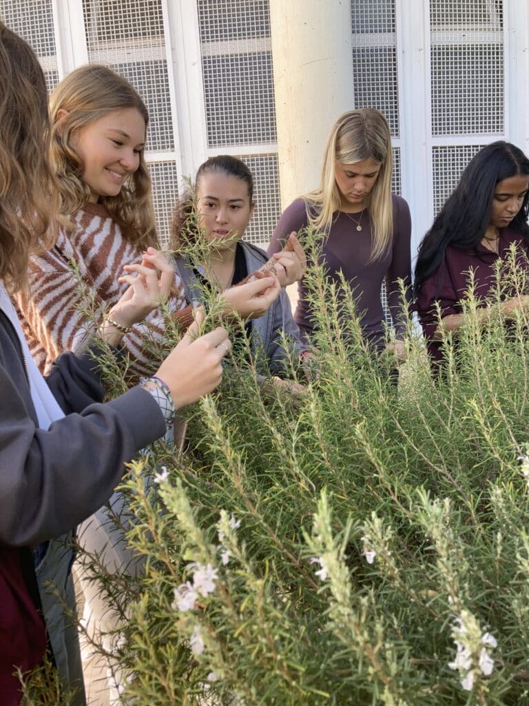 people studying plants