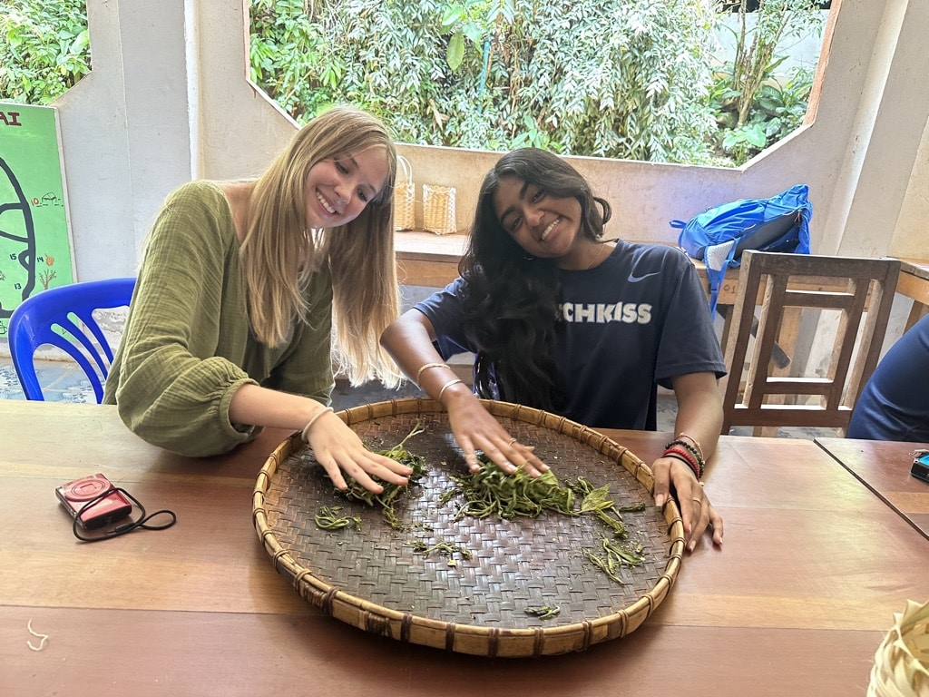 people showing off leaves in wicker basket