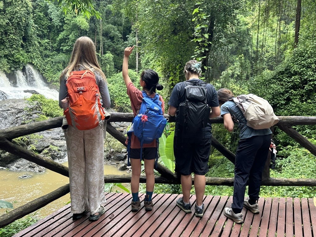 people pointing at something in forest