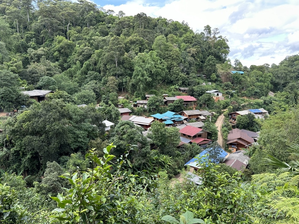 small village on green hillside